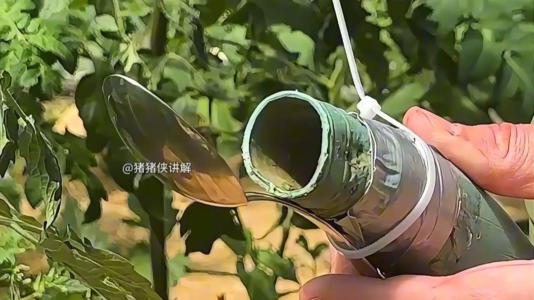 实用生活技巧大合集,重温这些你还记得几个?