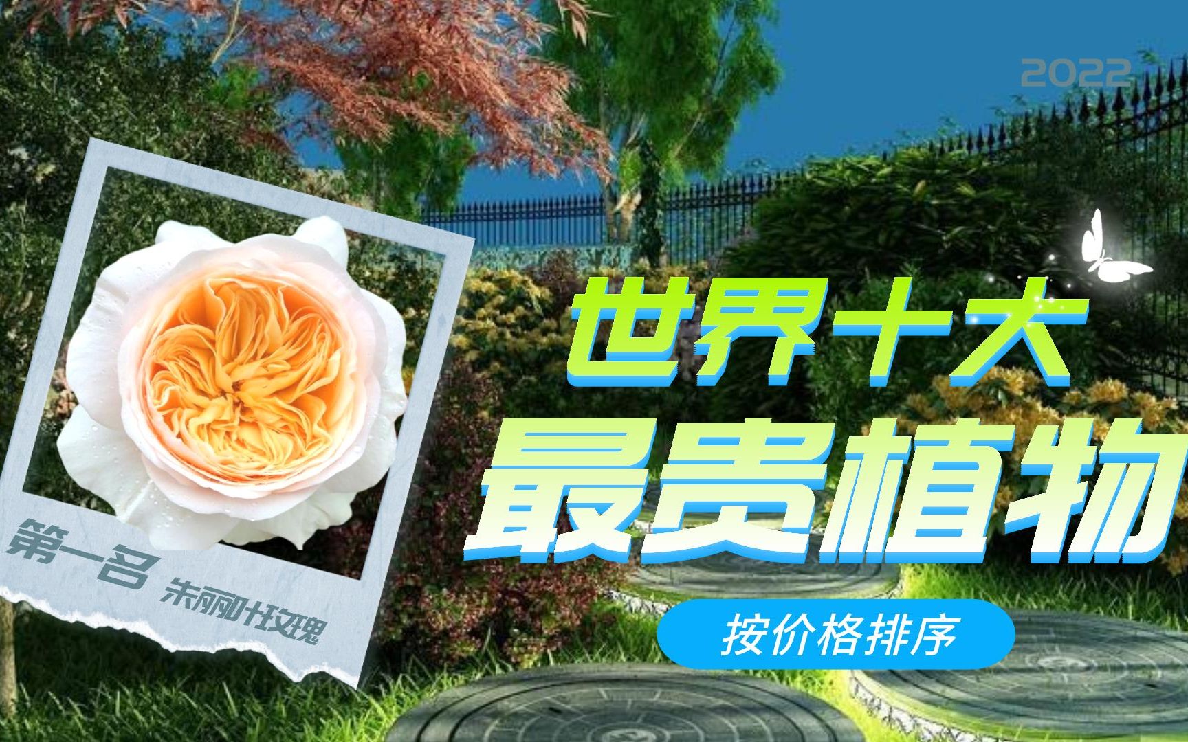 全球最昂贵植物盘点