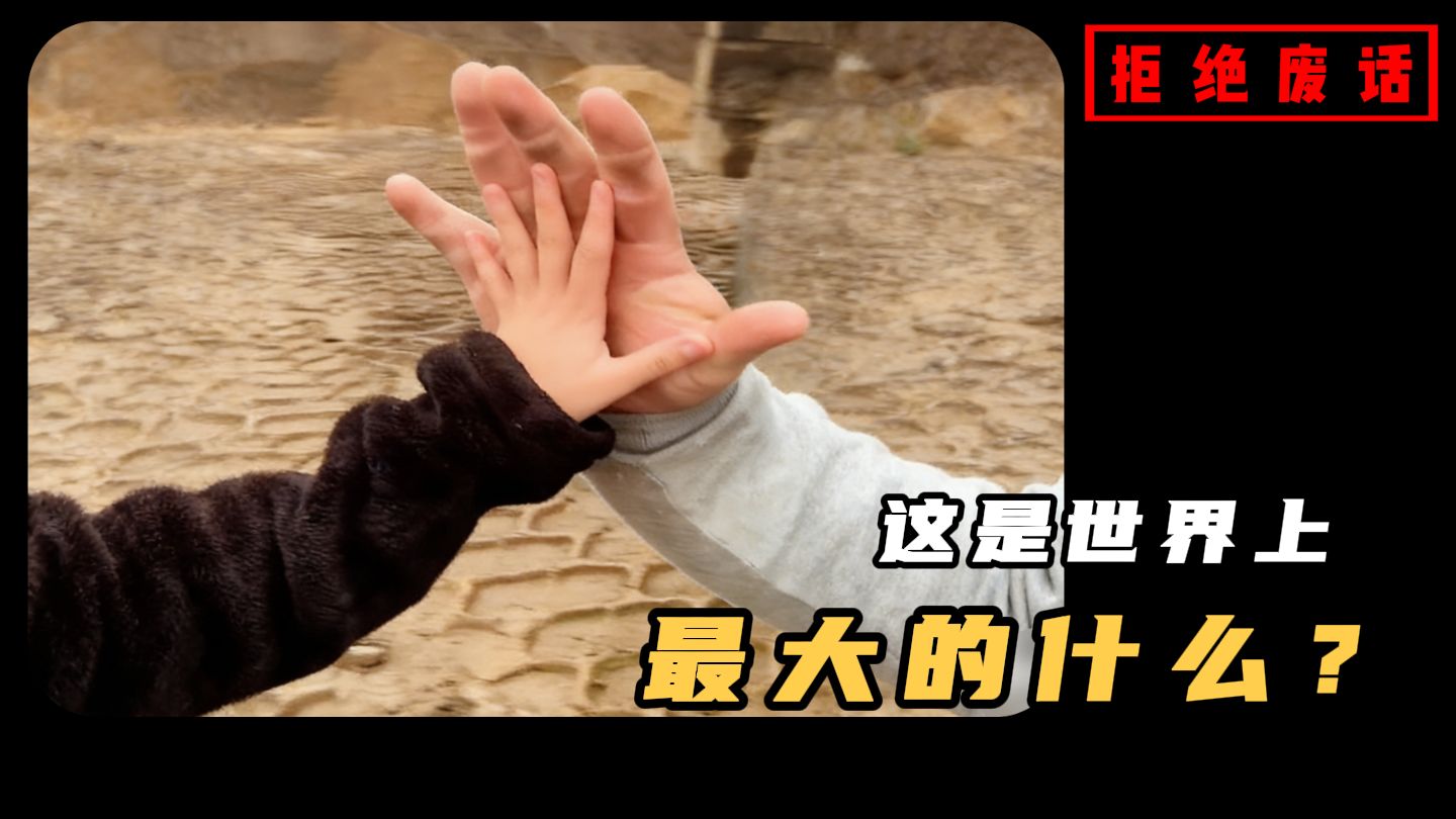 这些庞然巨物你见过多少