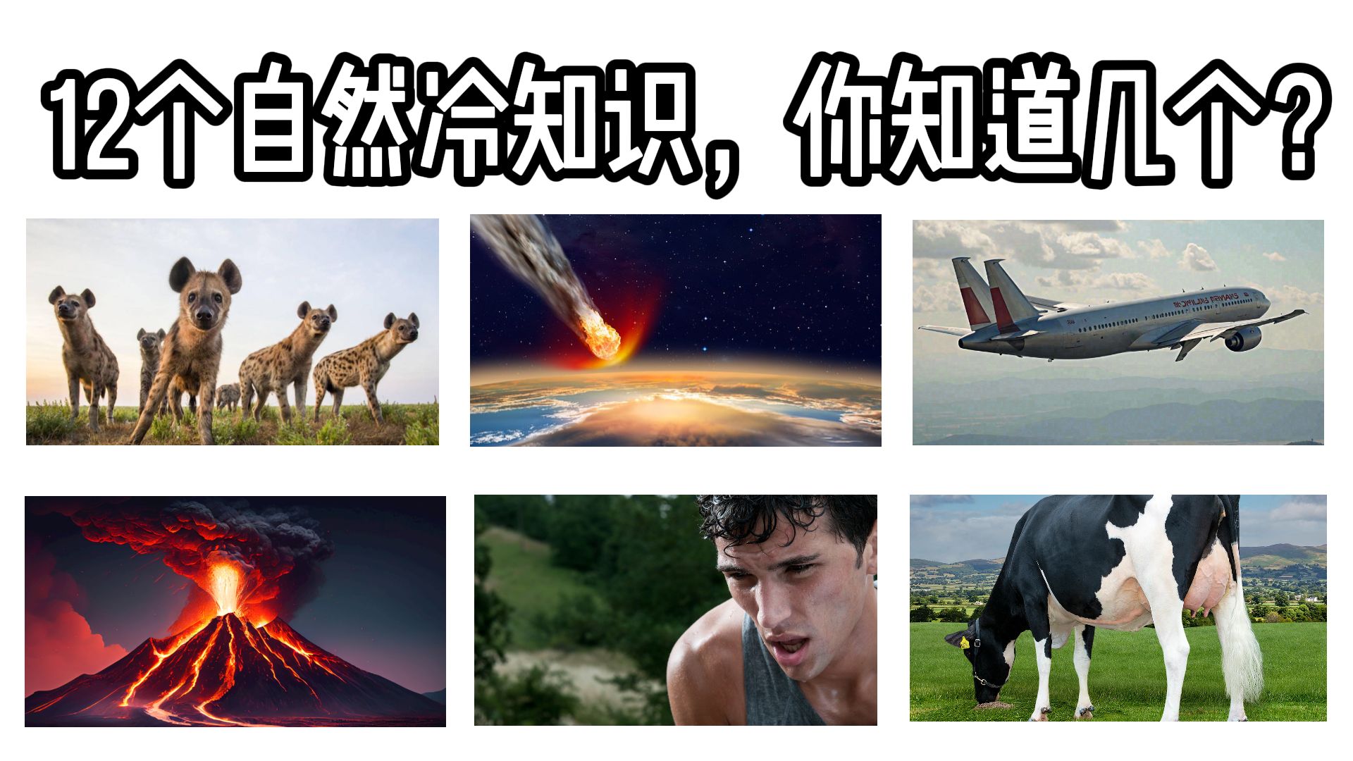 这些自然冷知识你知道几个？我看了12个，第一个就让我目瞪口呆